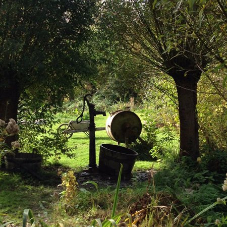 Barques des hortillonnages景点图片