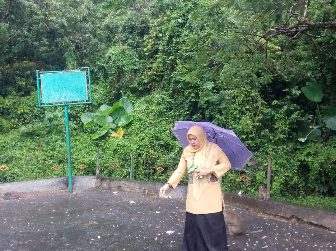 Plangon Monkey Forest and Tombs景点图片