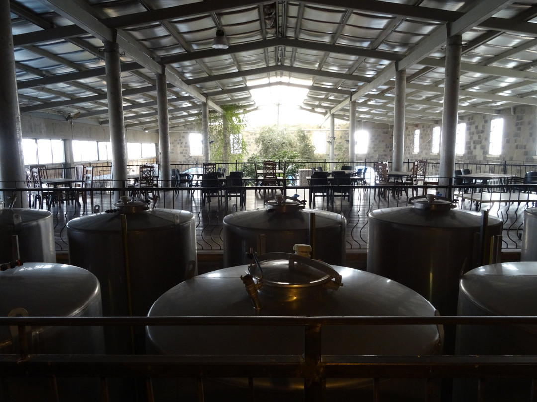 Olea Essence-Katzrin必去景点