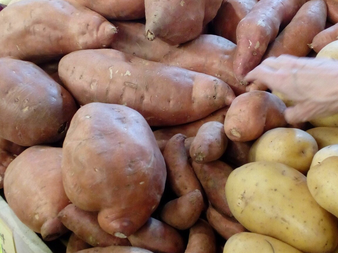 West Shore Farmers Market-Lemoyne必去景点