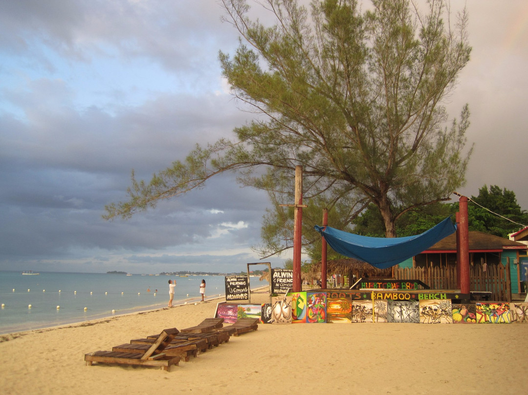 Carlos Island Tours景点图片