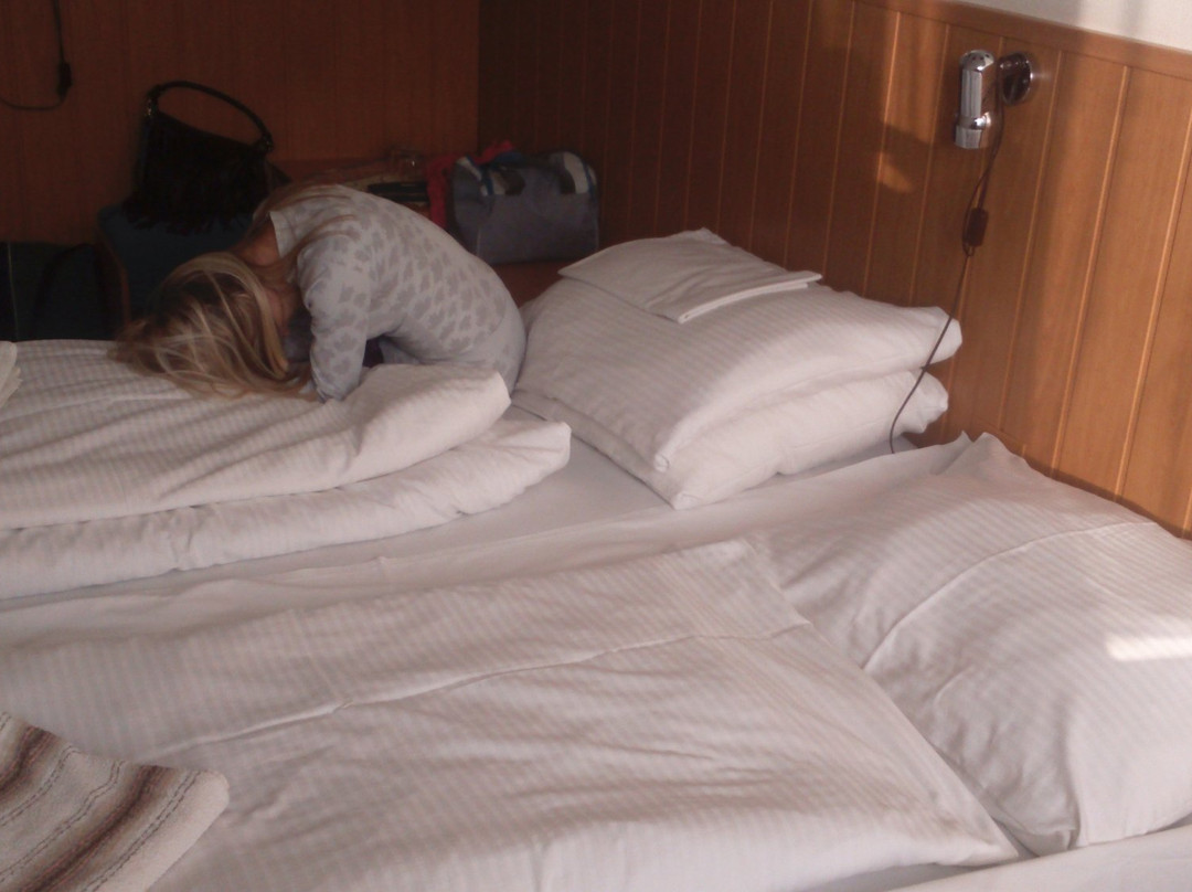 Hotel Tatrawest主图