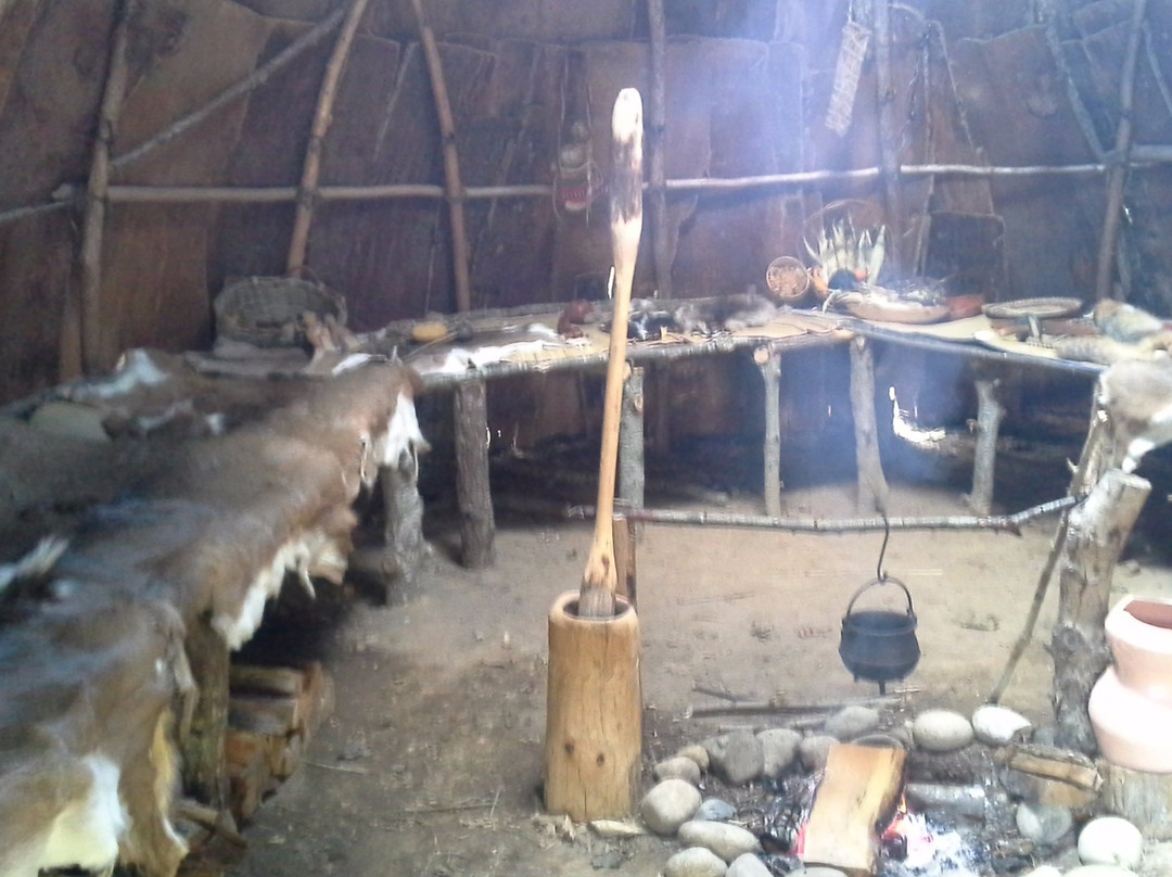 Mashpee Wampanoag Indian Museum景点图片