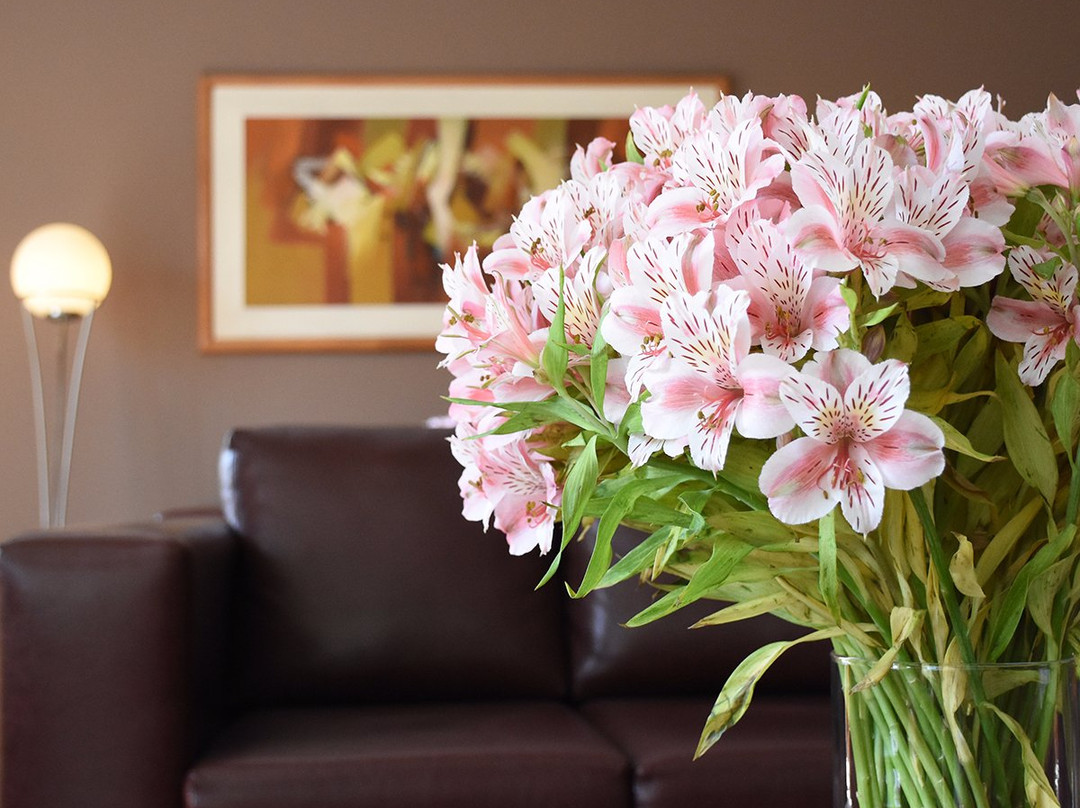 Hoteles Paraiso Trujillo