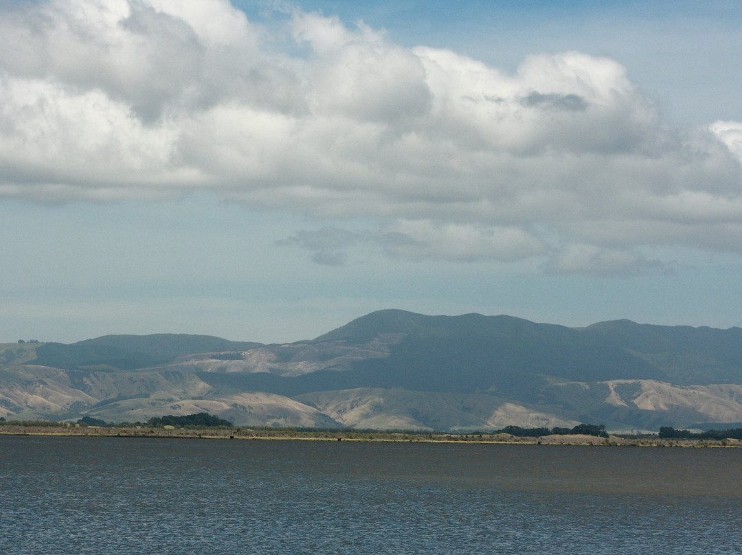 Lake Wairarapa景点图片