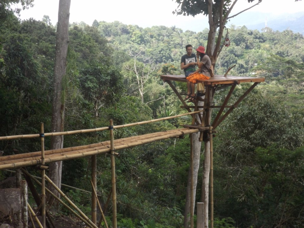 Urongo Tree House景点图片