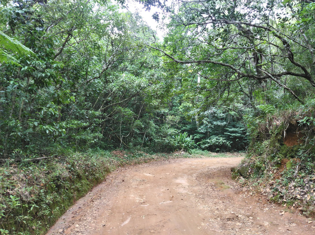 Caminho do Imperador-Paty do Alferes必去景点
