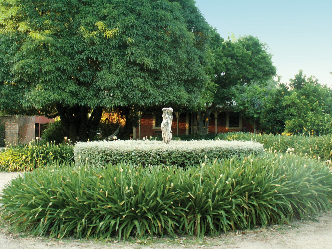 Haldon Estate Wines-比奇沃思必去景点