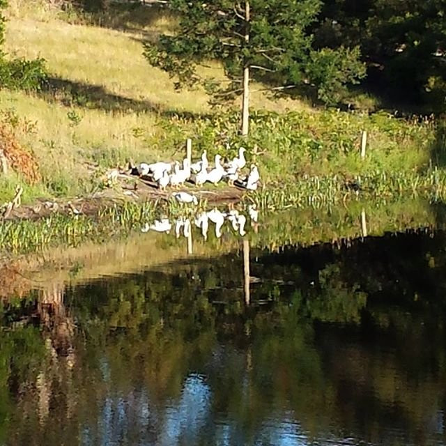 Winchelsea酒店住宿-贝尔布拉丰收酒店