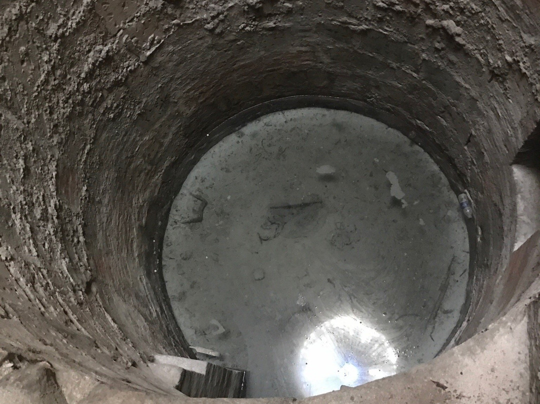 El Shona Art Centre & Museums-亚历山大必去景点