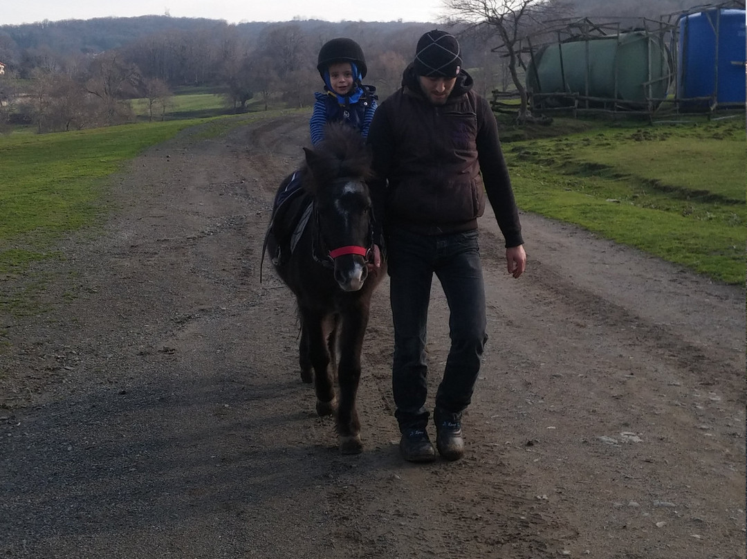 Göçmen's Ranch-伊斯坦布尔必去景点