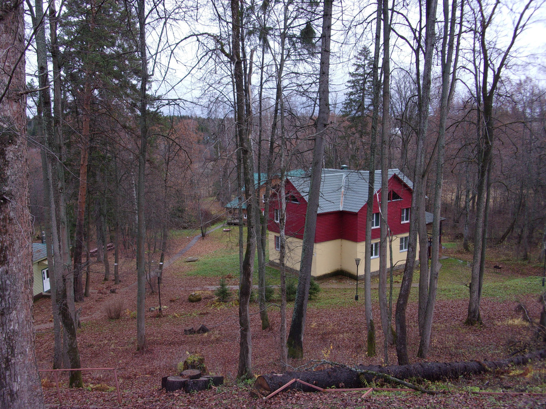 Abramtsevo Park Hotel主图