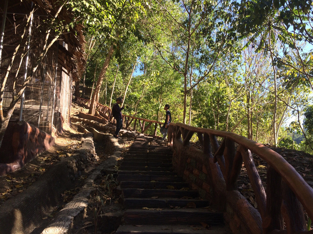 Delta Discovery Park-武端必去景点