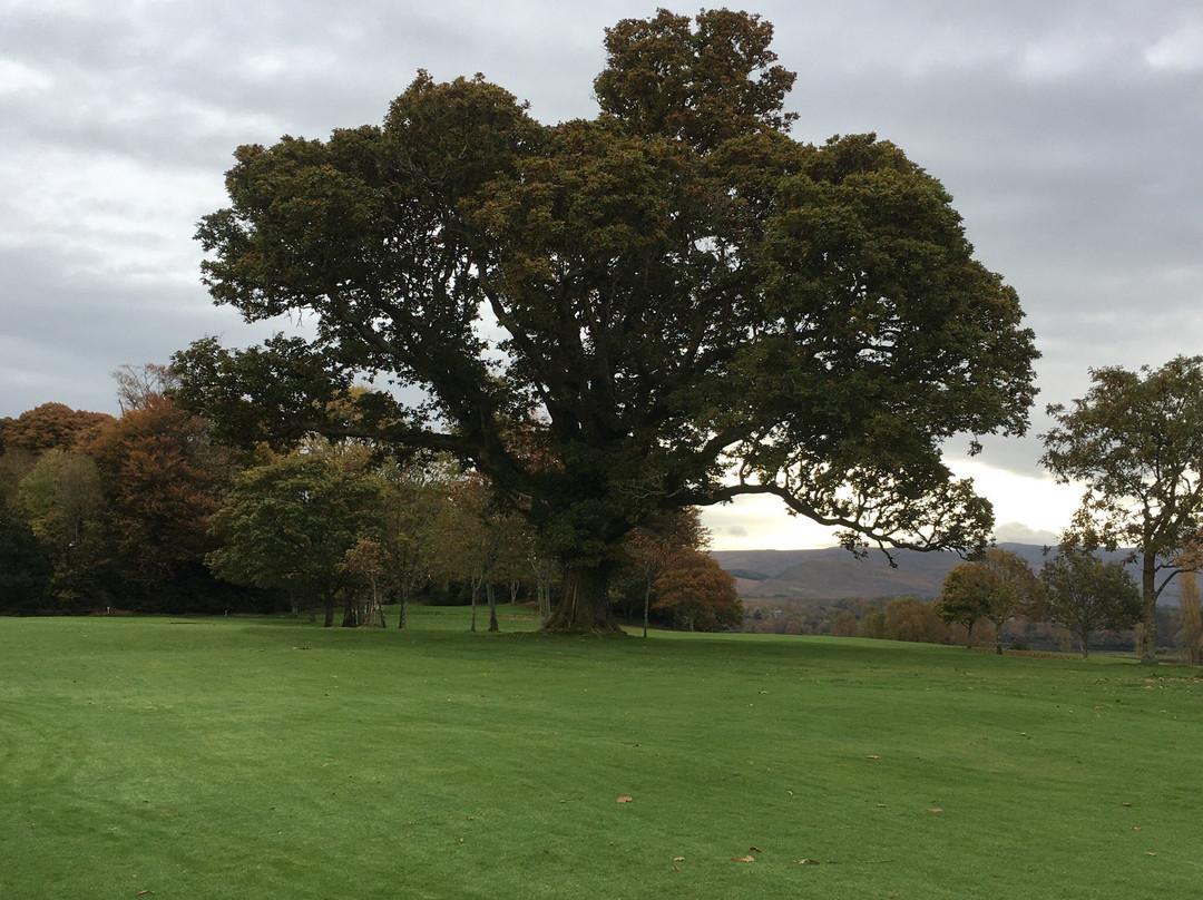 Kenmare Golf Club-肯梅尔必去景点
