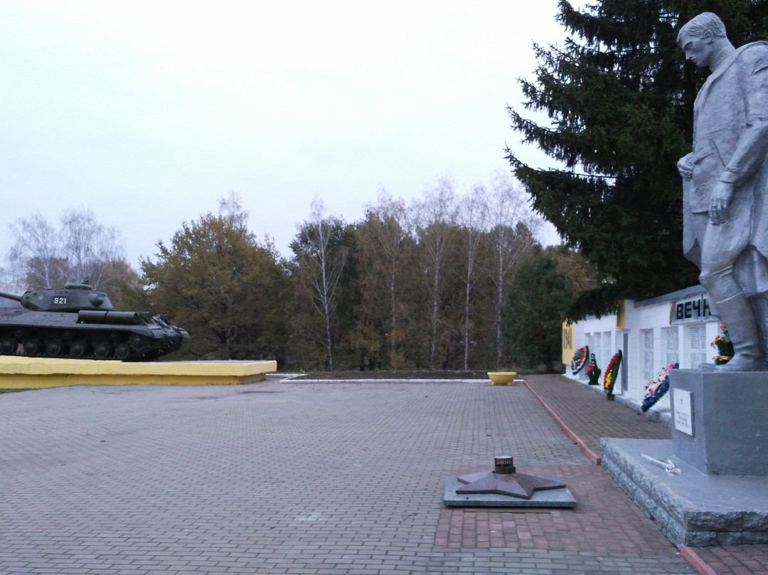 Starodub Museum of Local Lore景点图片