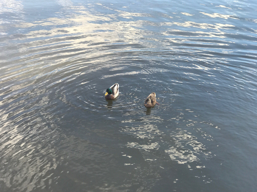 Lake George-Saint Cloud必去景点