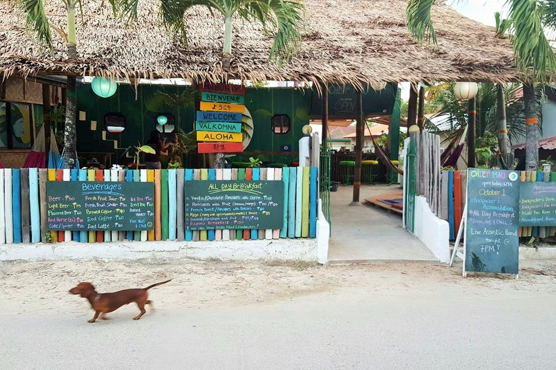 Chief Mau Moalboal Cebu