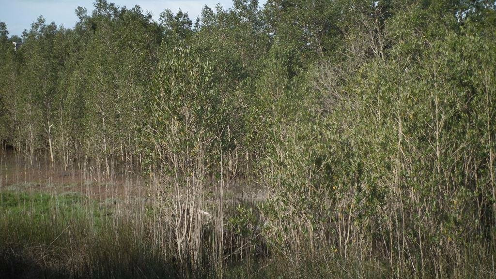 Nahoon Estuary Nature Reserve-东伦敦必去景点