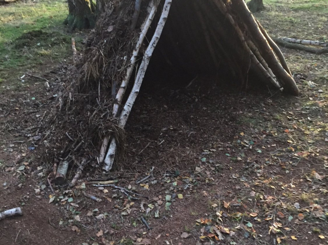 Forest Skills Ltd-纳茨福德必去景点