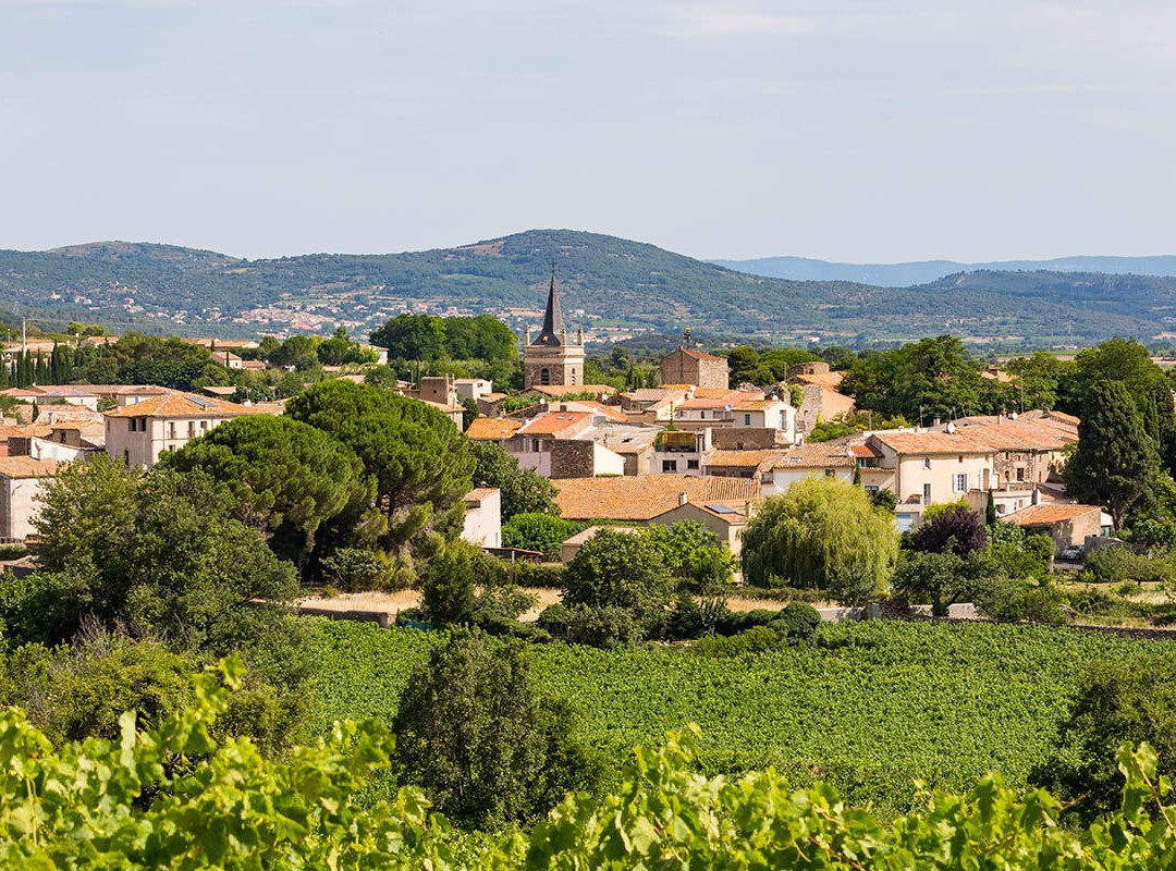 Domaine de Nizas景点图片