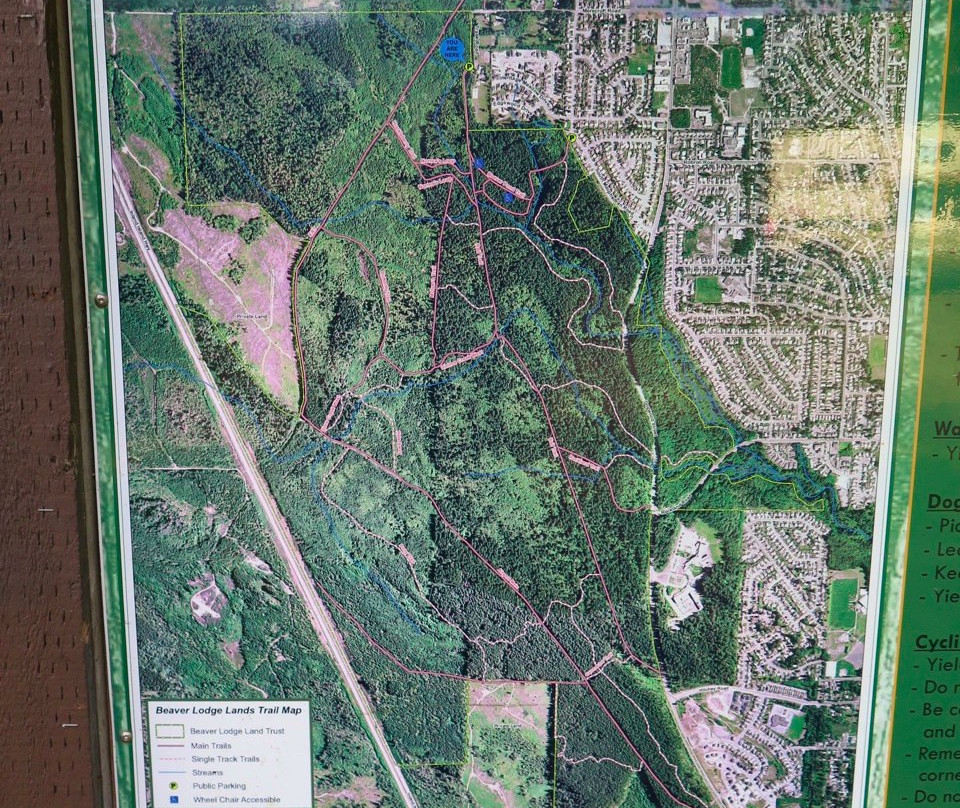 Beaver Lodge Forest Land景点图片