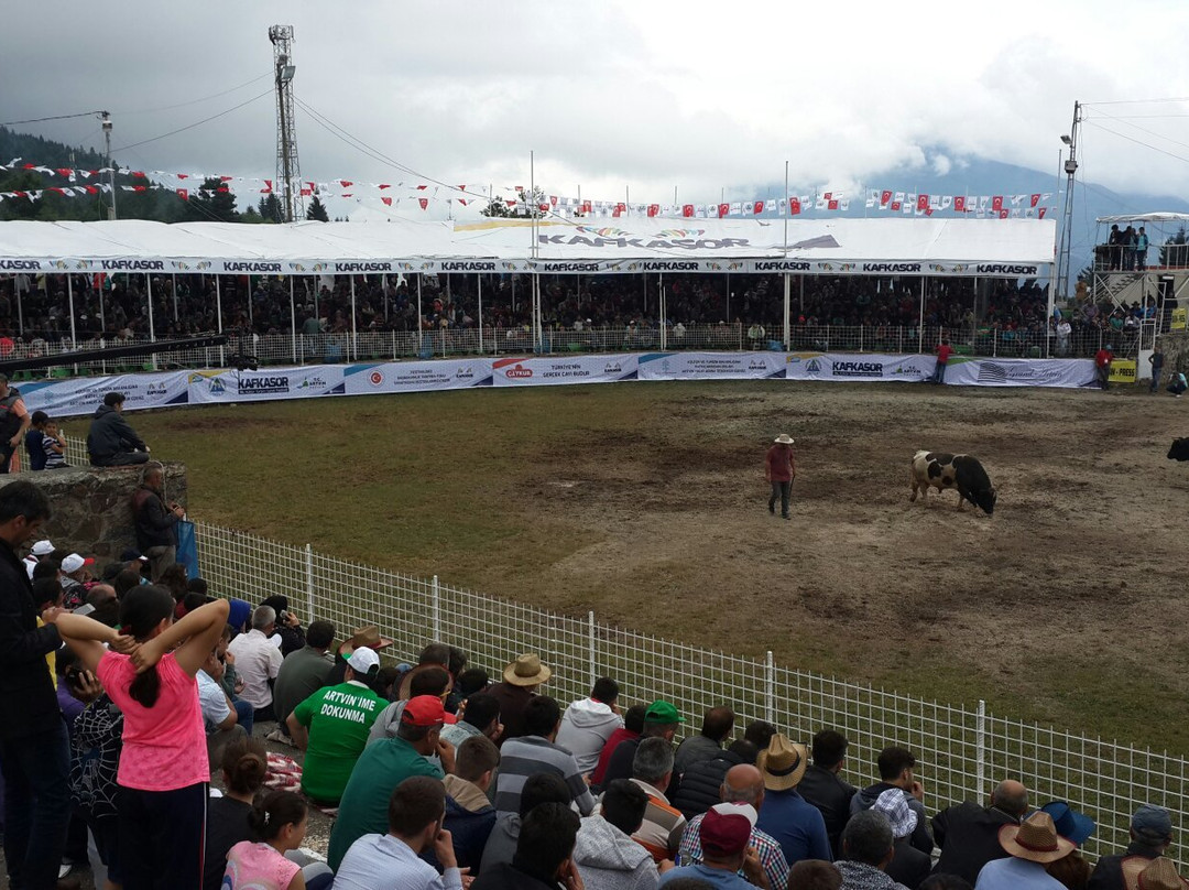 Kafkasor Arena-Artvin必去景点
