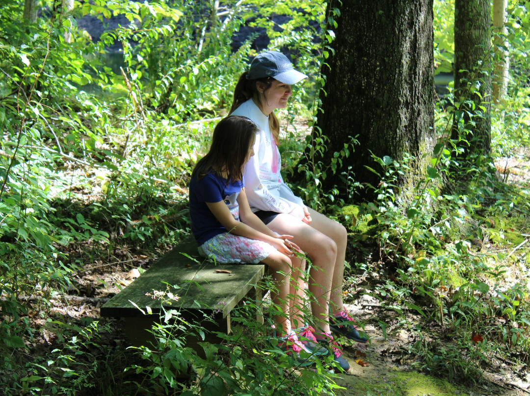 Harmonie State Park-New Harmony必去景点