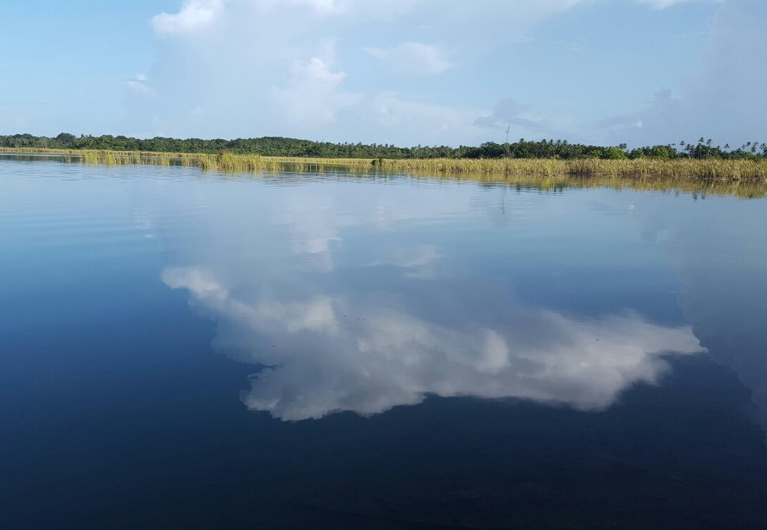 Laguna Tortuguero景点图片