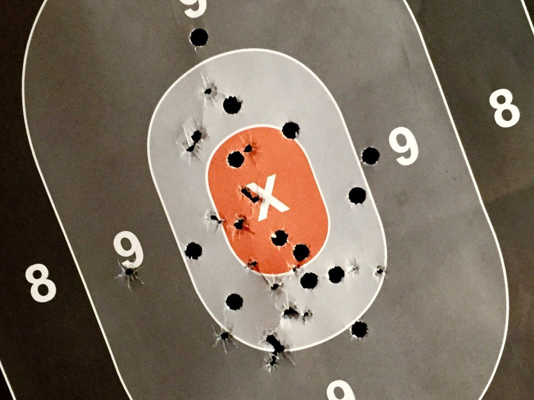 Lowcountry Guns And Range景点图片