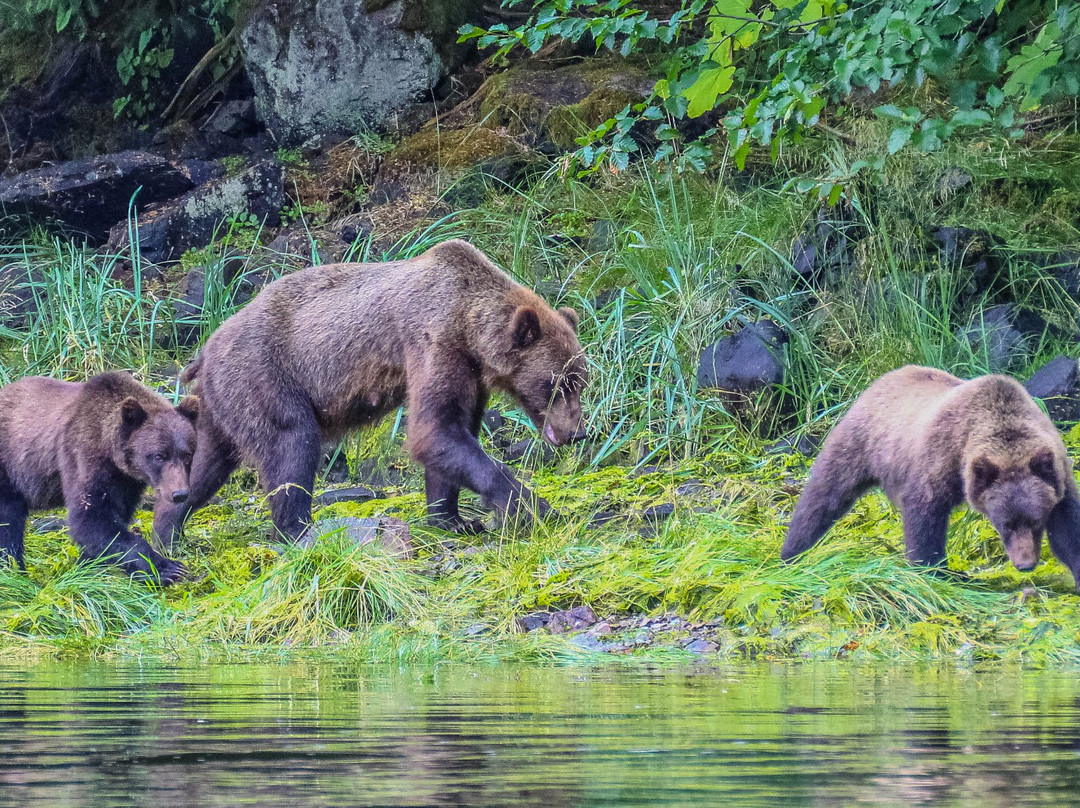 Chichagof Island-朱诺必去景点