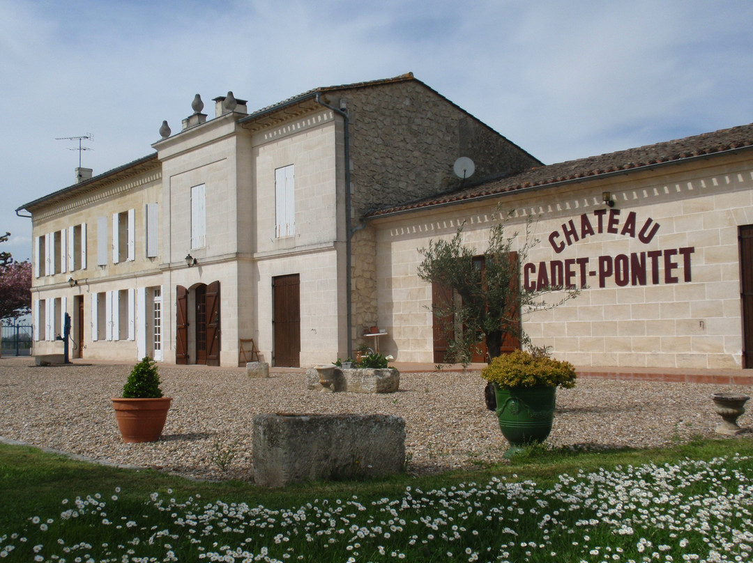 Château Cadet-Pontet景点图片