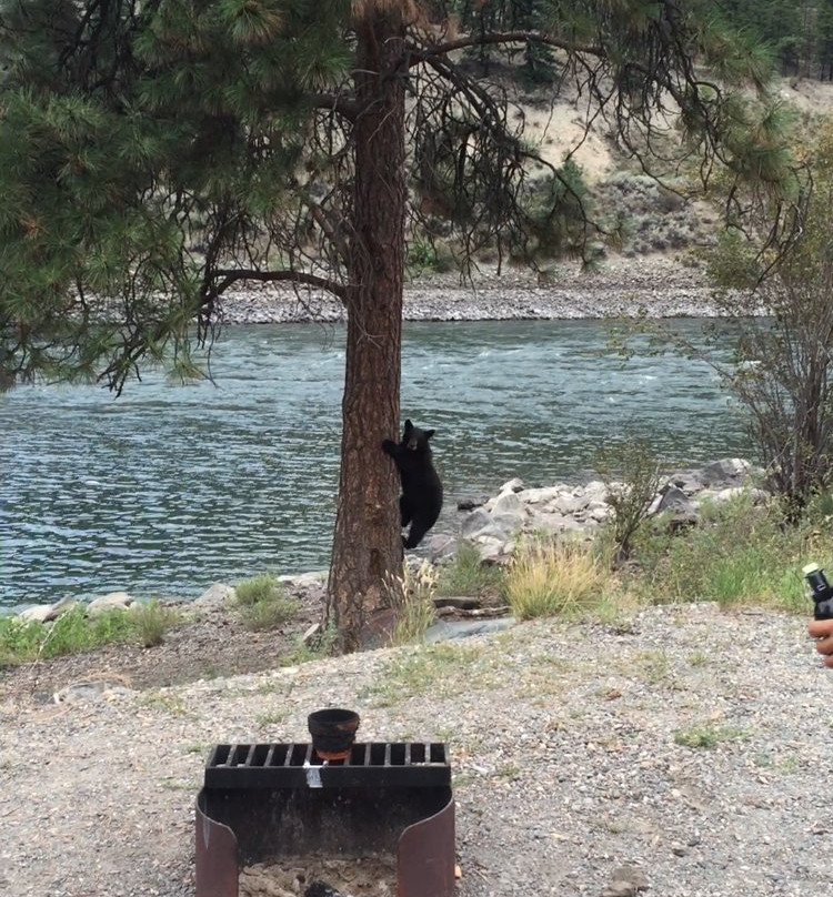 Goldpan Provincial Park-Spences Bridge必去景点