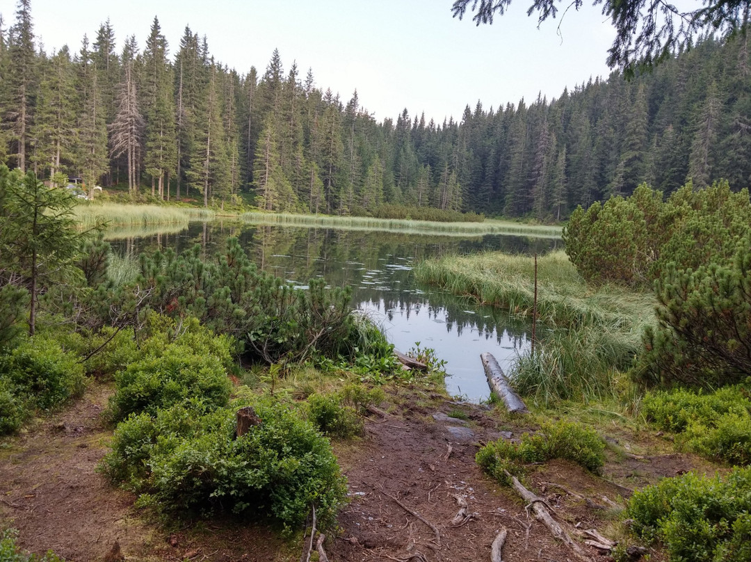 Maricheyka Lake-Yaremche必去景点