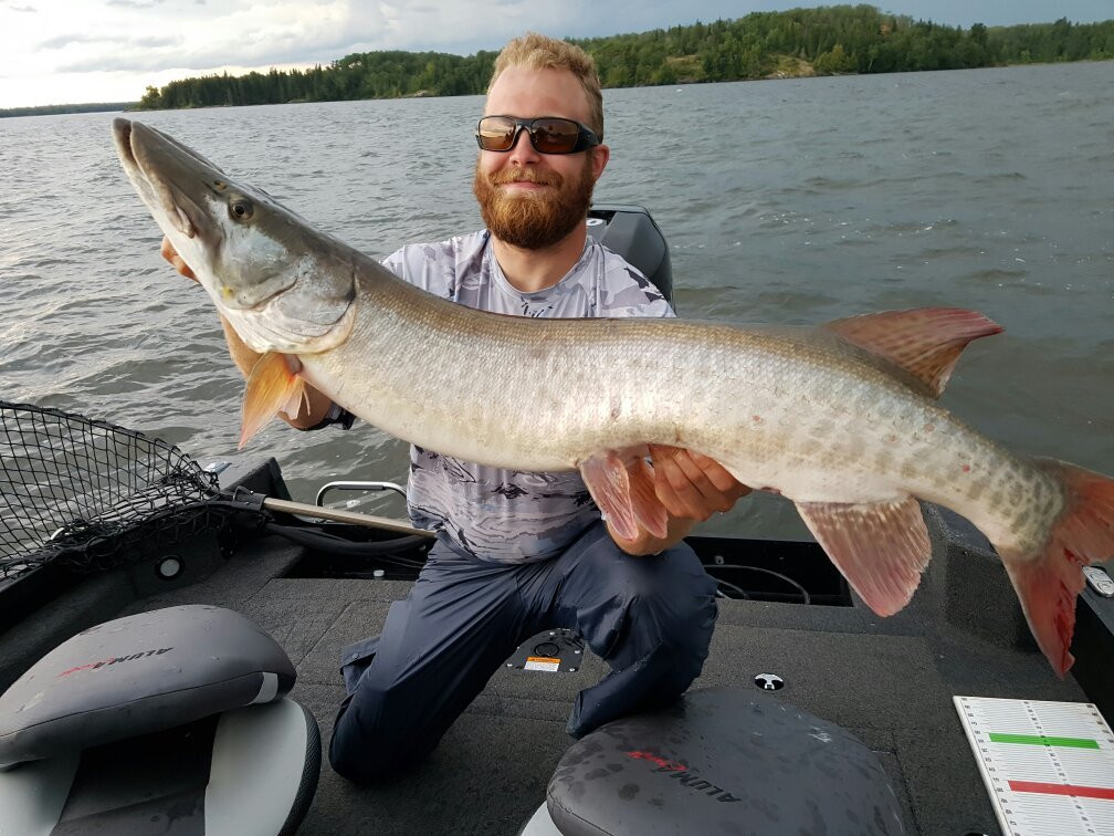 Tank Industries Guide Service-凯诺拉必去景点