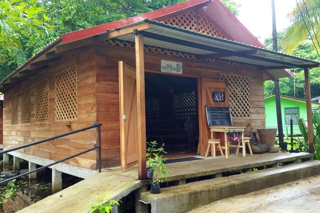 Casa Cecropia景点图片