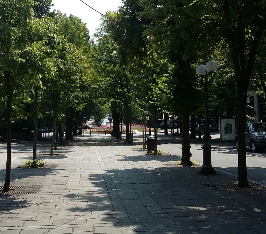 Viale Romagnosi景点图片