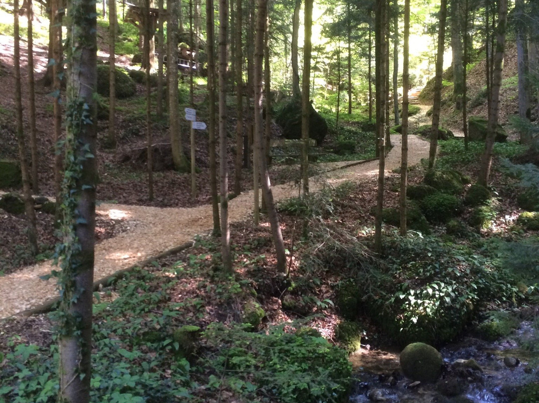 Seilpark Rigi-屈斯纳赫特瑞吉必去景点