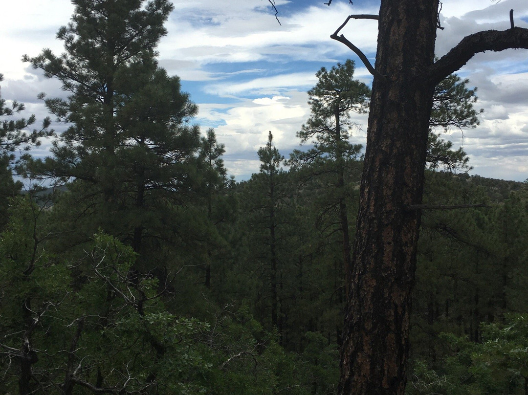 Bill Williams Mountain-威廉姆斯必去景点