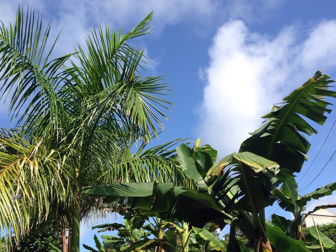 Nha Tho Bao Loc-保禄县必去景点