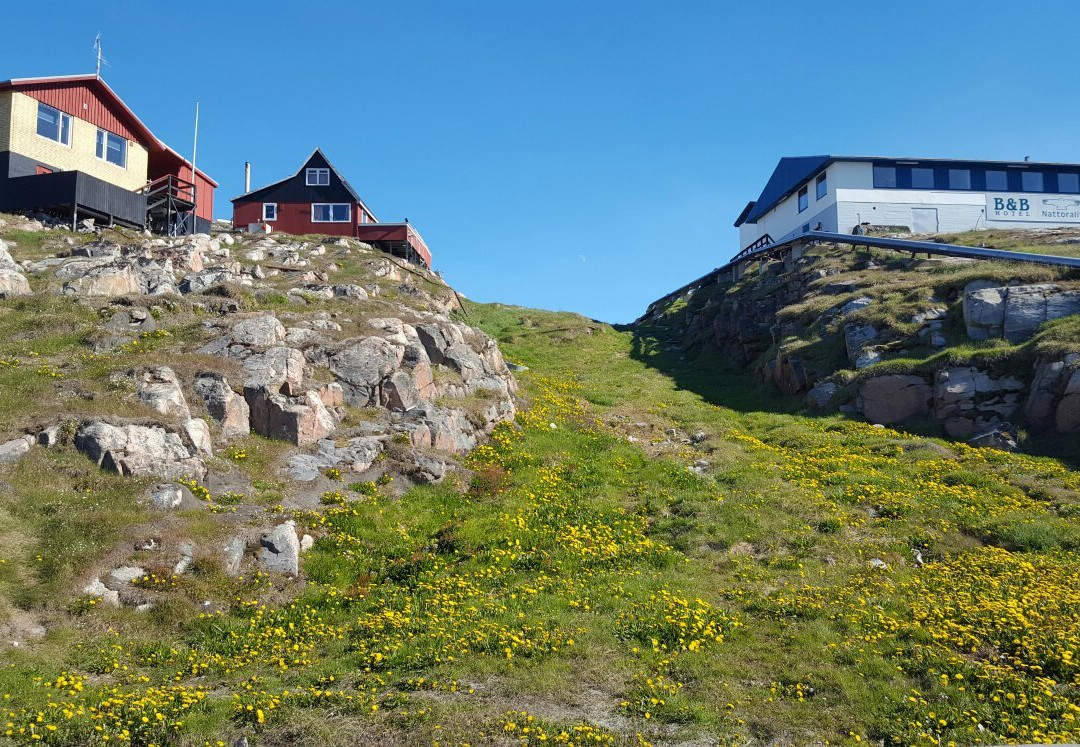 Hotel Soma Aasiaat主图