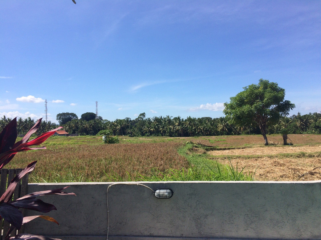 德耶约住宿加早餐酒店主图