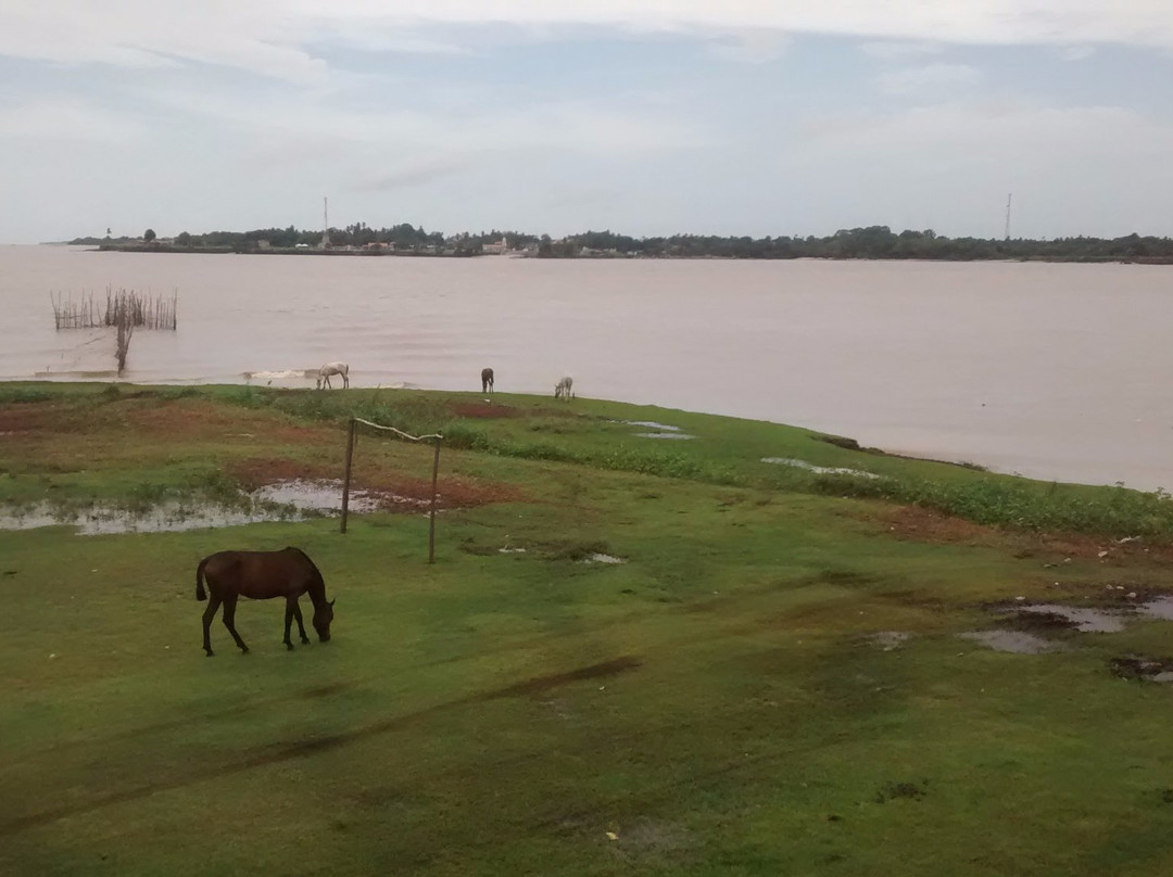Hotel Ilha do Marajo主图