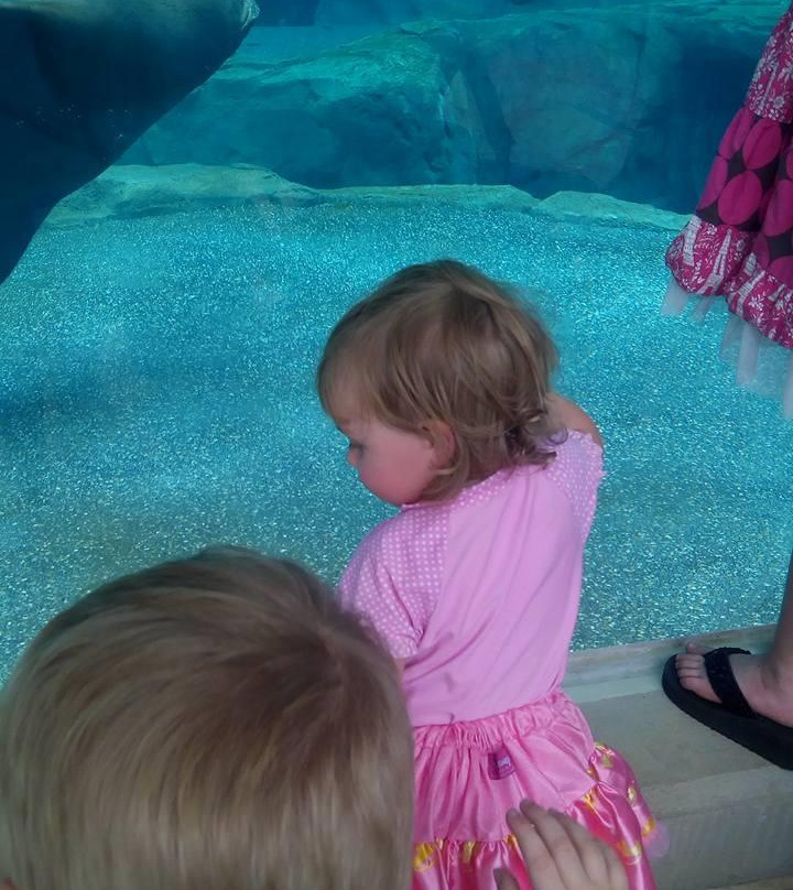 Sea Lion Landing-哥伦比亚必去景点