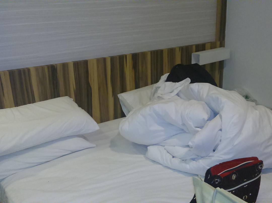 Rimba Hotel主图