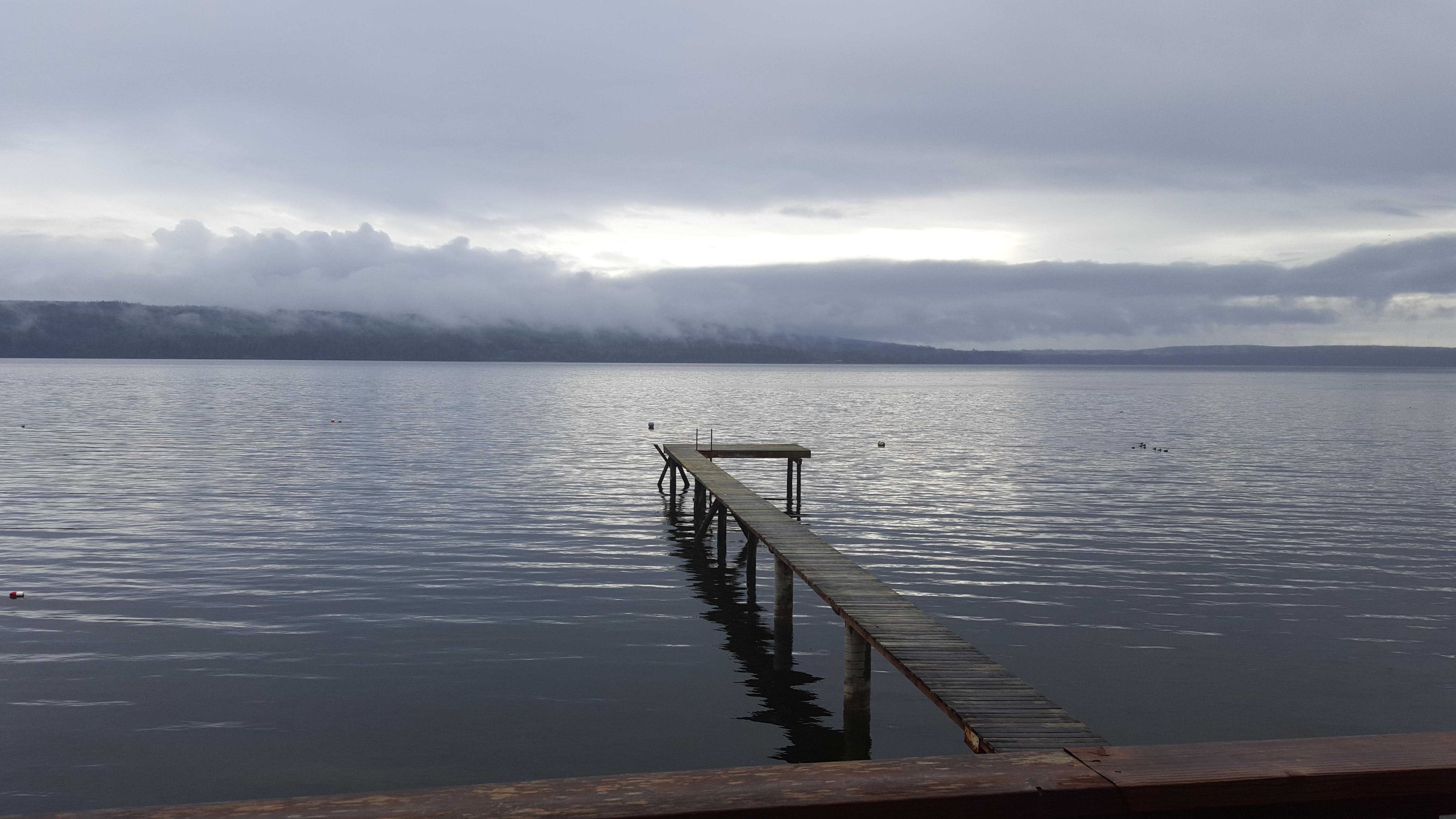 Adelma Beach Properties-官方