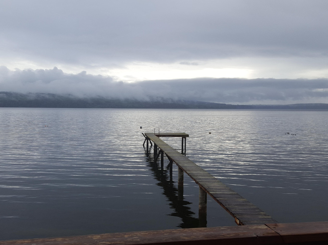 Adelma Beach Properties主图