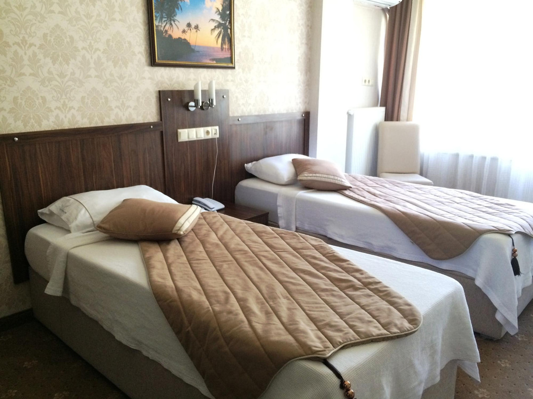 Yildiz Termal Otel主图