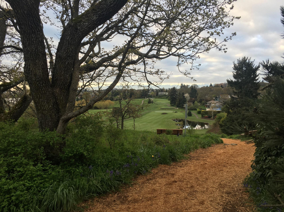 Cedar Hill Golf Course景点图片