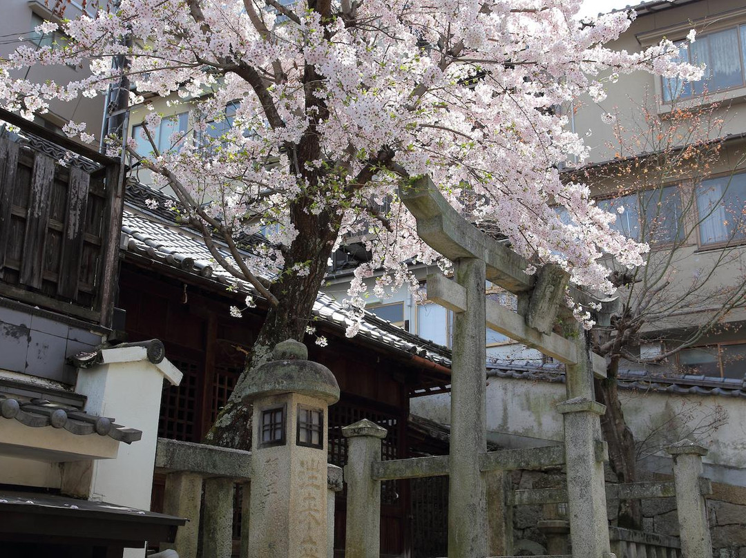 Saiwai Shrine景点图片