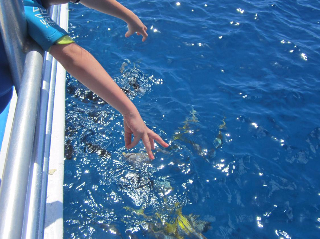 Desecheo Island NWR-吕康必去景点